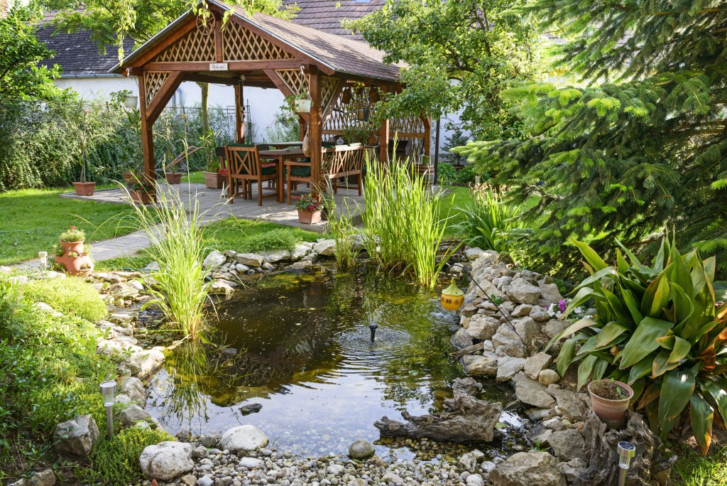 relaxing backyard with mini pond